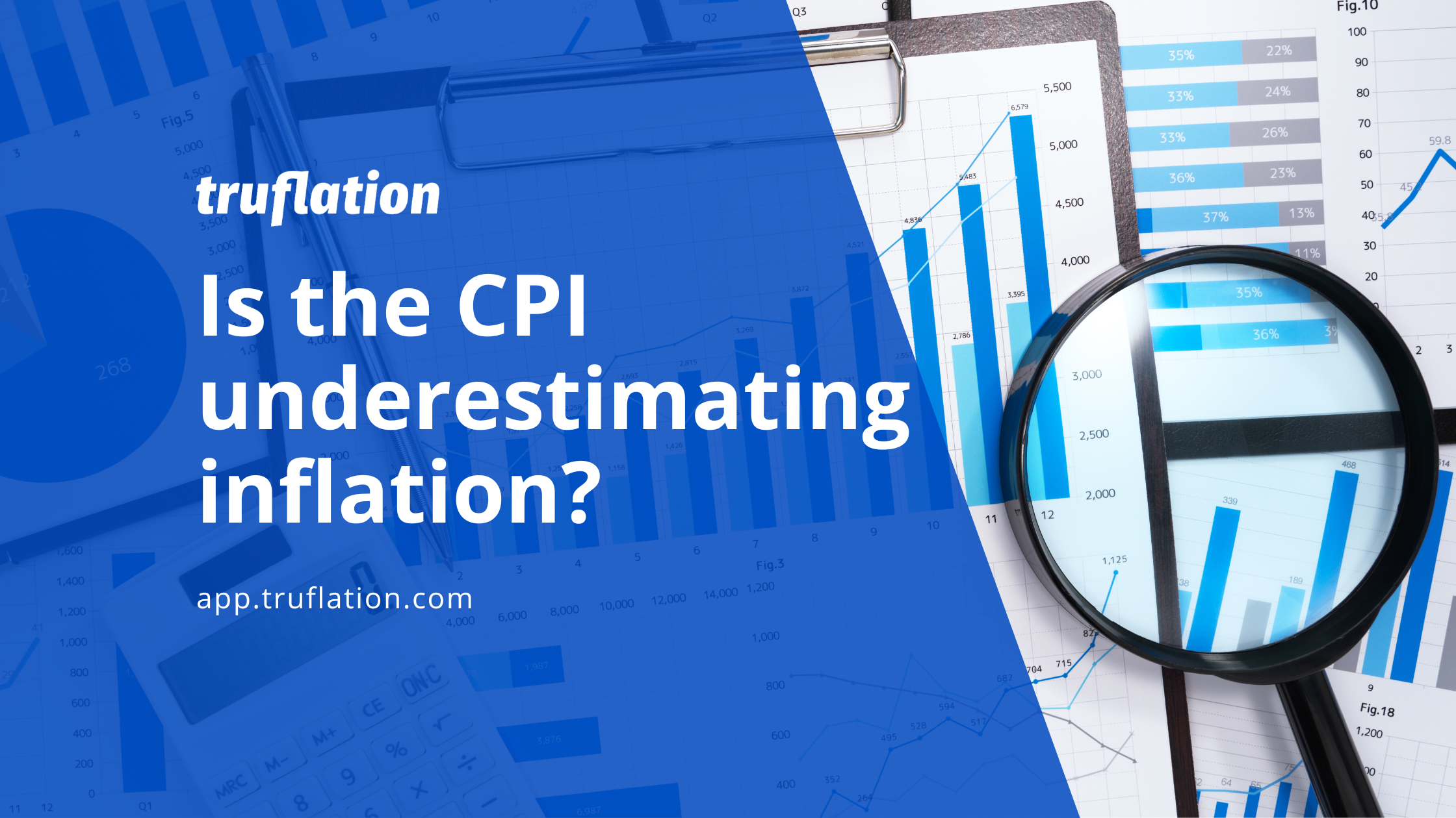 A Valid Concern: Is the Official CPI Undervaluing Inflation?
