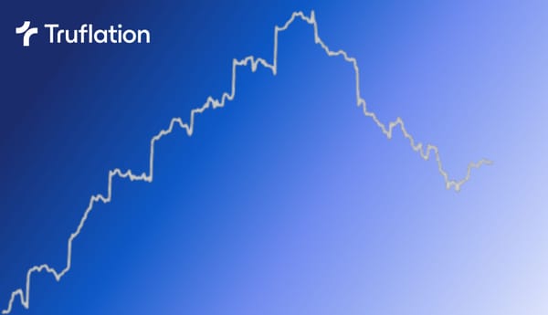 Truflation: US Inflation Update January 2024